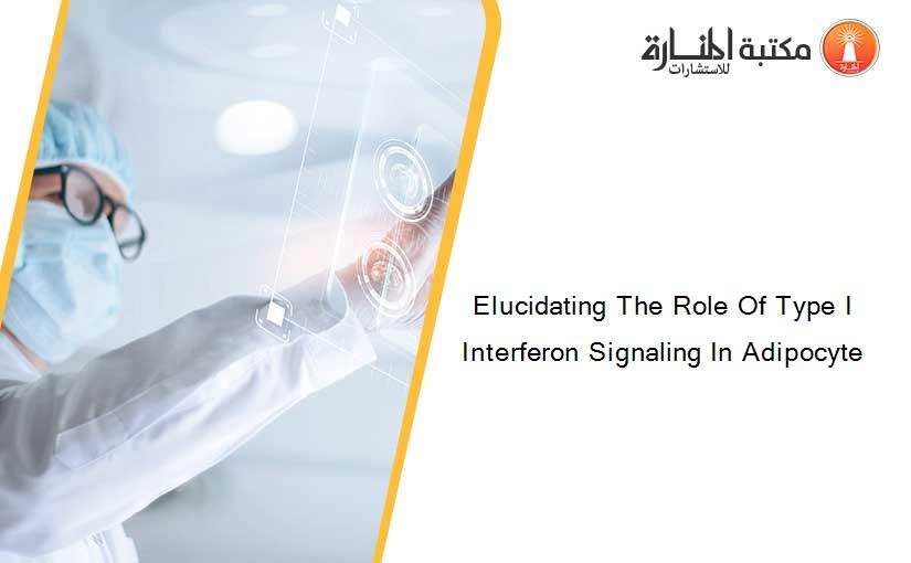 Elucidating The Role Of Type I Interferon Signaling In Adipocyte