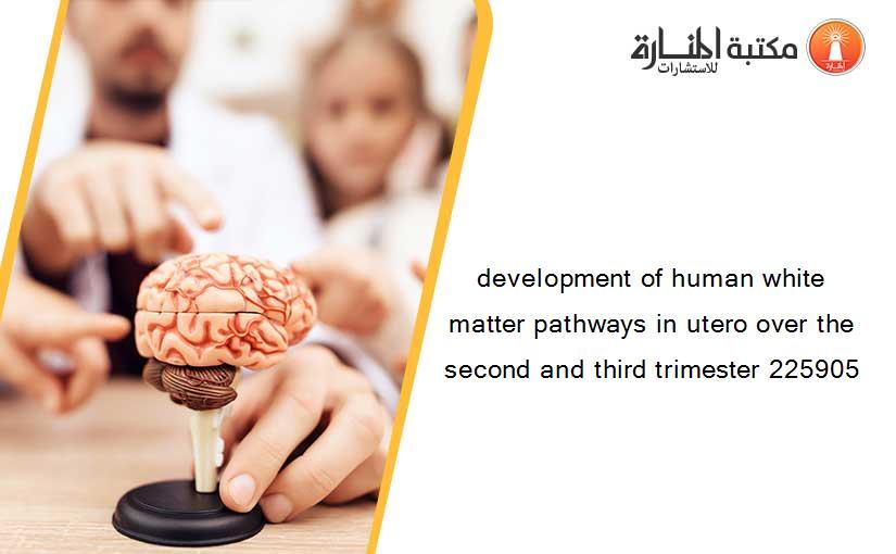 development of human white matter pathways in utero over the second and third trimester 225905