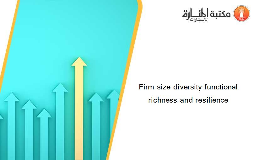Firm size diversity functional richness and resilience