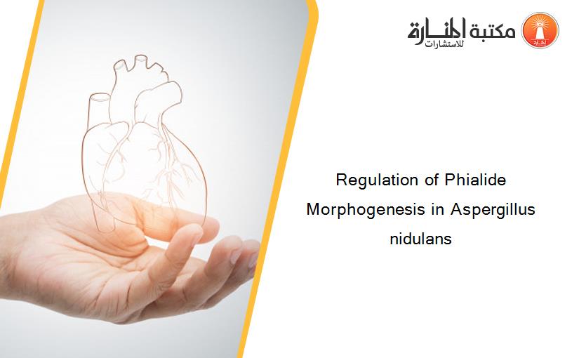 Regulation of Phialide Morphogenesis in Aspergillus nidulans