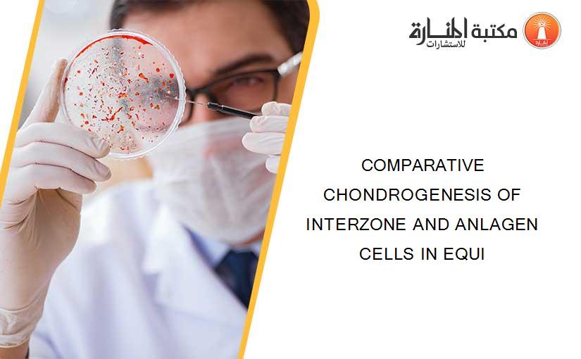 COMPARATIVE CHONDROGENESIS OF INTERZONE AND ANLAGEN CELLS IN EQUI