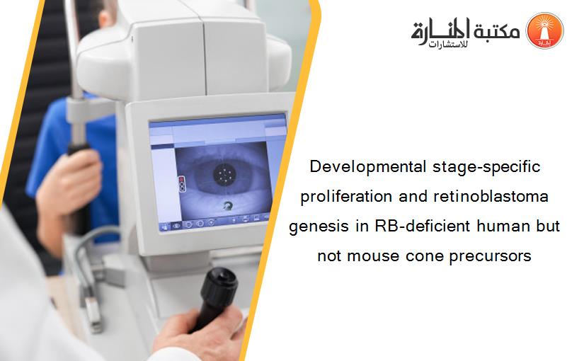 Developmental stage-specific proliferation and retinoblastoma genesis in RB-deficient human but not mouse cone precursors