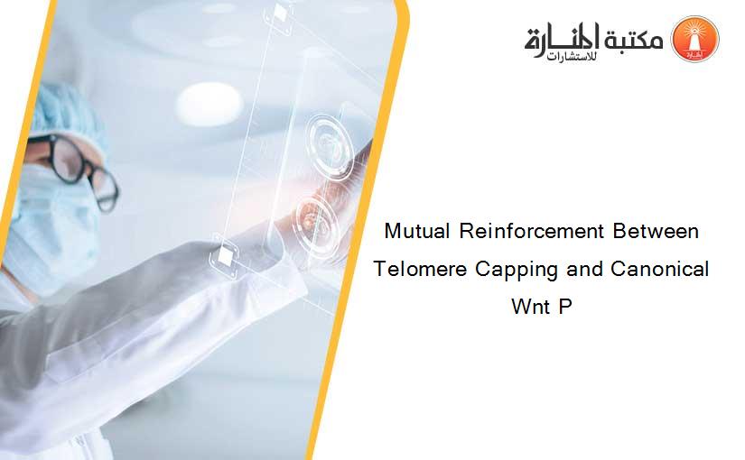 Mutual Reinforcement Between Telomere Capping and Canonical Wnt P