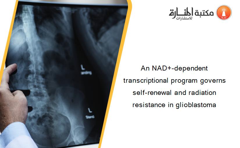 An NAD+-dependent transcriptional program governs self-renewal and radiation resistance in glioblastoma