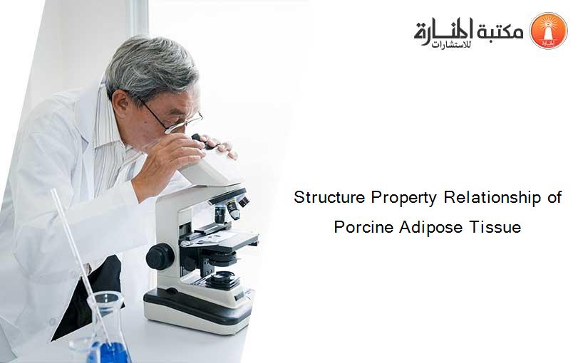 Structure Property Relationship of Porcine Adipose Tissue