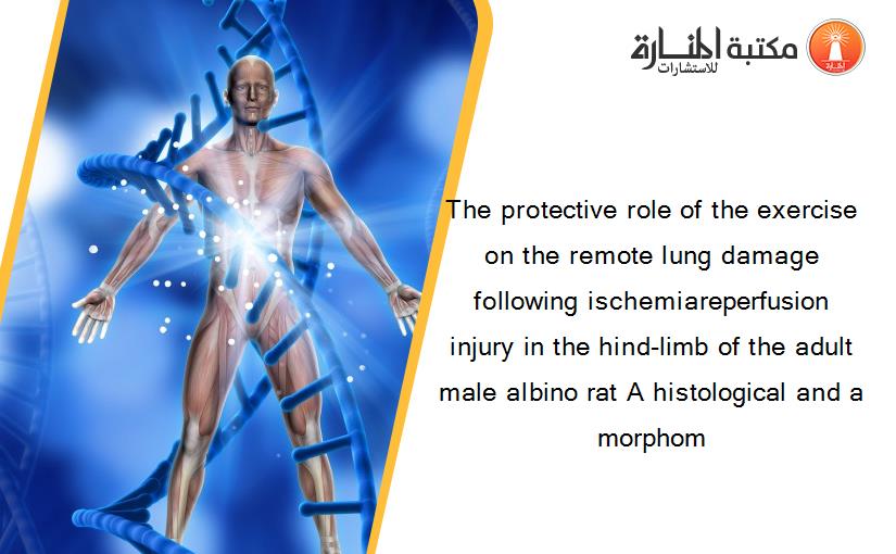 The protective role of the exercise on the remote lung damage following ischemiareperfusion injury in the hind-limb of the adult male albino rat A histological and a morphom