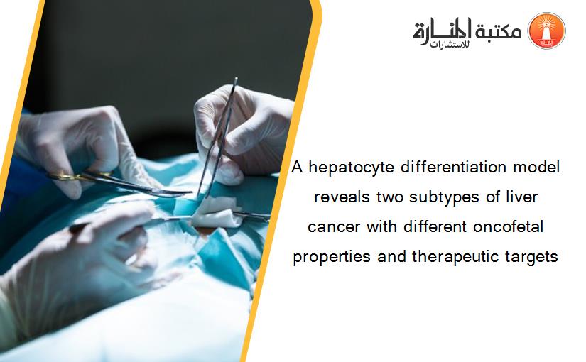 A hepatocyte differentiation model reveals two subtypes of liver cancer with different oncofetal properties and therapeutic targets