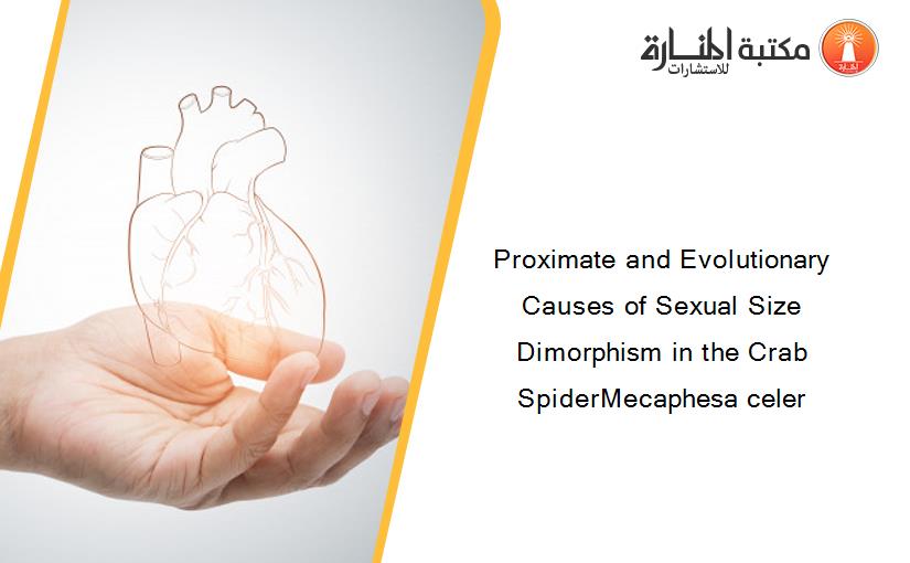 Proximate and Evolutionary Causes of Sexual Size Dimorphism in the Crab SpiderMecaphesa celer