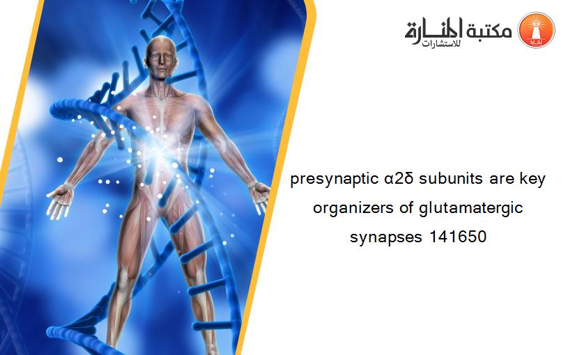 presynaptic α2δ subunits are key organizers of glutamatergic synapses 141650