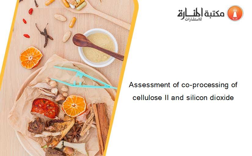 Assessment of co-processing of cellulose II and silicon dioxide