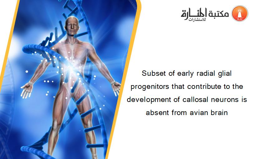 Subset of early radial glial progenitors that contribute to the development of callosal neurons is absent from avian brain