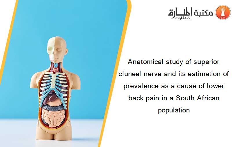 Anatomical study of superior cluneal nerve and its estimation of prevalence as a cause of lower back pain in a South African population