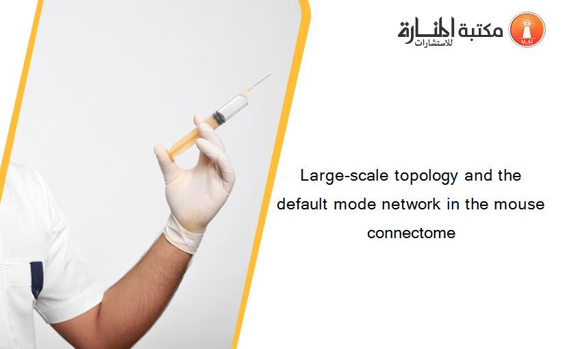 Large-scale topology and the default mode network in the mouse connectome