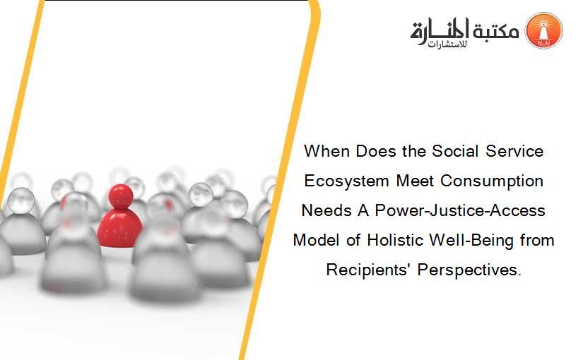 When Does the Social Service Ecosystem Meet Consumption Needs A Power–Justice–Access Model of Holistic Well-Being from Recipients' Perspectives.