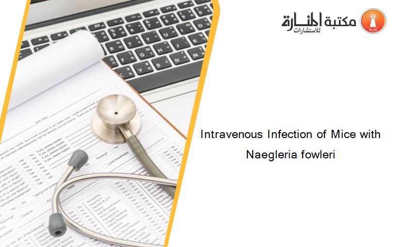 Intravenous Infection of Mice with Naegleria fowleri