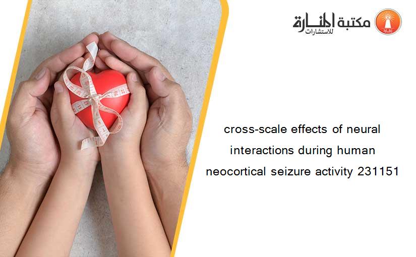 cross-scale effects of neural interactions during human neocortical seizure activity 231151