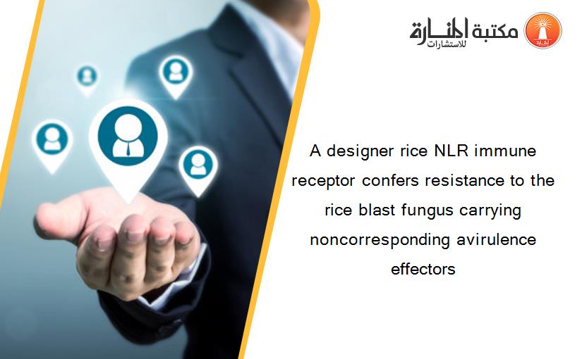 A designer rice NLR immune receptor confers resistance to the rice blast fungus carrying noncorresponding avirulence effectors