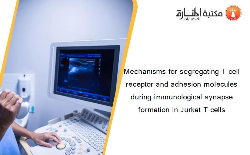 Mechanisms for segregating T cell receptor and adhesion molecules during immunological synapse formation in Jurkat T cells