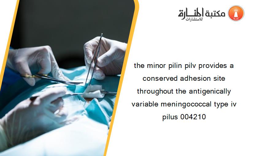 the minor pilin pilv provides a conserved adhesion site throughout the antigenically variable meningococcal type iv pilus 004210