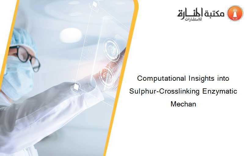 Computational Insights into Sulphur-Crosslinking Enzymatic Mechan