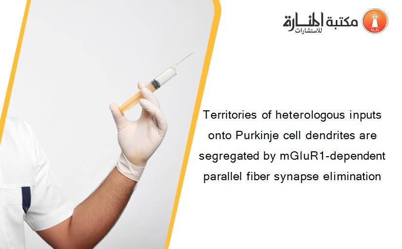 Territories of heterologous inputs onto Purkinje cell dendrites are segregated by mGluR1-dependent parallel fiber synapse elimination