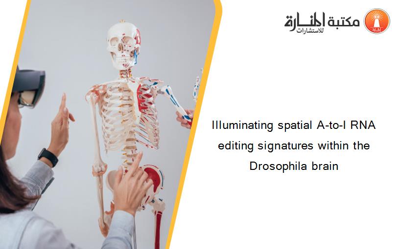 Illuminating spatial A-to-I RNA editing signatures within the Drosophila brain