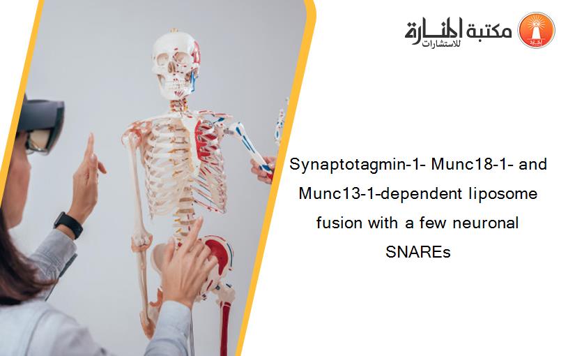Synaptotagmin-1– Munc18-1– and Munc13-1–dependent liposome fusion with a few neuronal SNAREs
