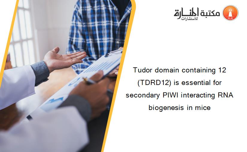 Tudor domain containing 12 (TDRD12) is essential for secondary PIWI interacting RNA biogenesis in mice