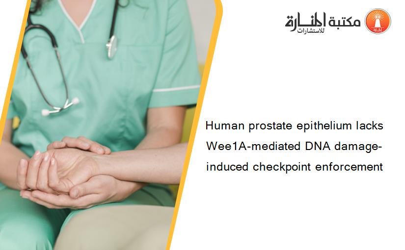 Human prostate epithelium lacks Wee1A-mediated DNA damage-induced checkpoint enforcement