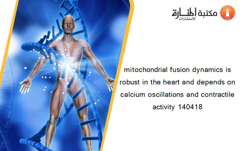 mitochondrial fusion dynamics is robust in the heart and depends on calcium oscillations and contractile activity 140418