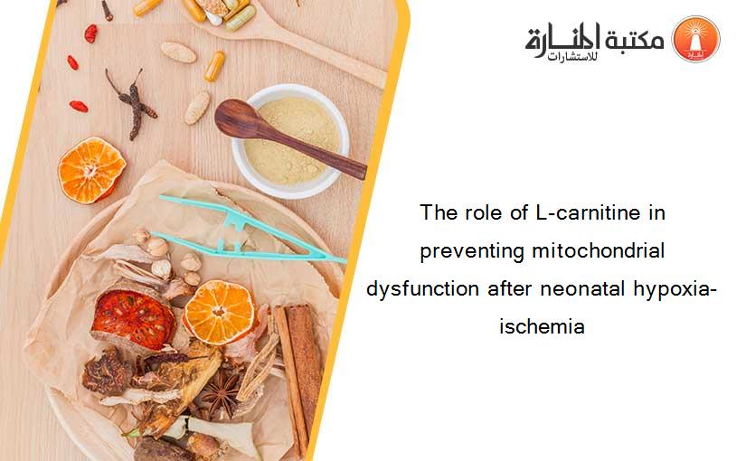 The role of L-carnitine in preventing mitochondrial dysfunction after neonatal hypoxia-ischemia