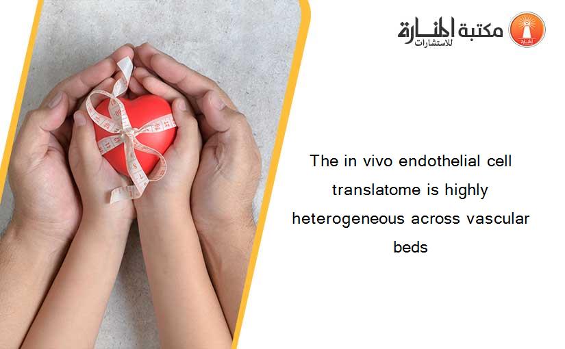 The in vivo endothelial cell translatome is highly heterogeneous across vascular beds