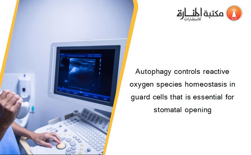 Autophagy controls reactive oxygen species homeostasis in guard cells that is essential for stomatal opening