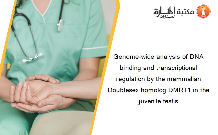 Genome-wide analysis of DNA binding and transcriptional regulation by the mammalian Doublesex homolog DMRT1 in the juvenile testis