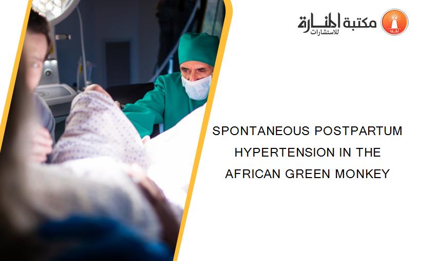 SPONTANEOUS POSTPARTUM HYPERTENSION IN THE AFRICAN GREEN MONKEY