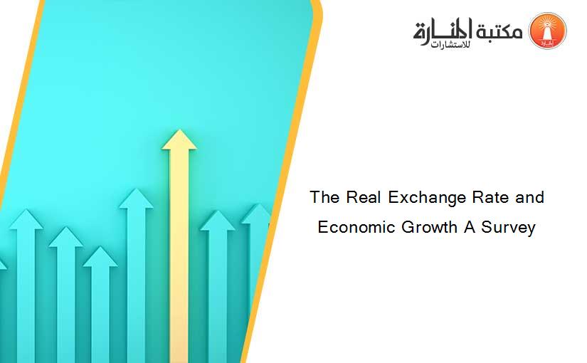 The Real Exchange Rate and Economic Growth A Survey