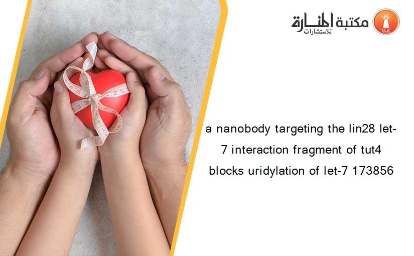 a nanobody targeting the lin28 let-7 interaction fragment of tut4 blocks uridylation of let-7 173856