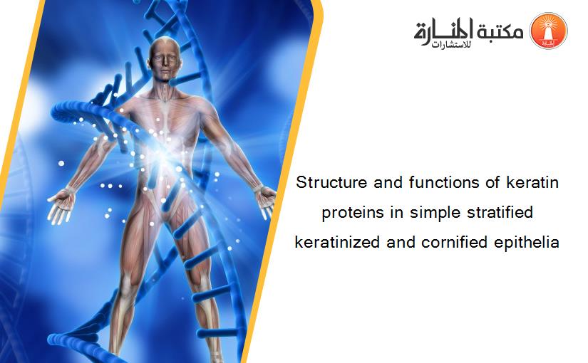 Structure and functions of keratin proteins in simple stratified keratinized and cornified epithelia