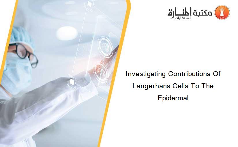 Investigating Contributions Of Langerhans Cells To The Epidermal