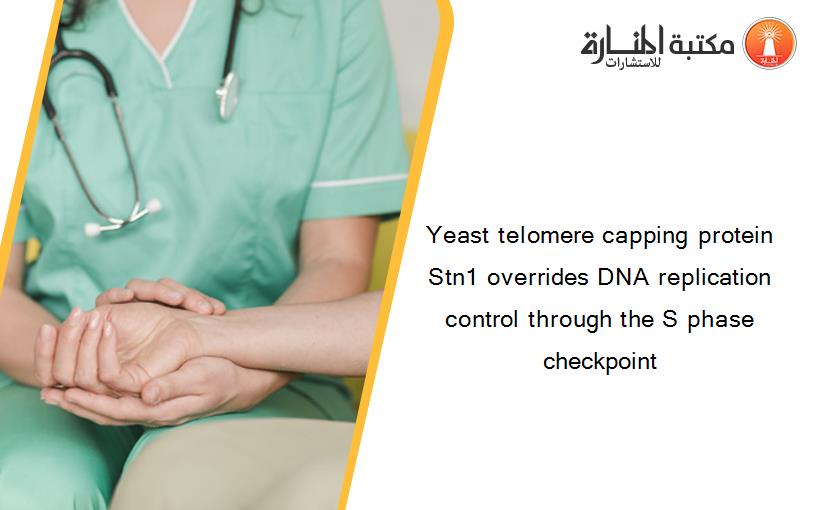 Yeast telomere capping protein Stn1 overrides DNA replication control through the S phase checkpoint