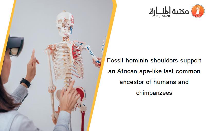 Fossil hominin shoulders support an African ape-like last common ancestor of humans and chimpanzees