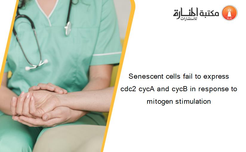 Senescent cells fail to express cdc2 cycA and cycB in response to mitogen stimulation