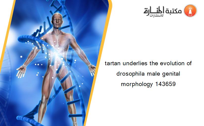 tartan underlies the evolution of drosophila male genital morphology 143659