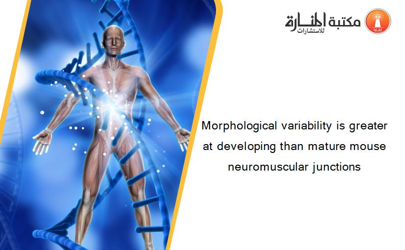 Morphological variability is greater at developing than mature mouse neuromuscular junctions