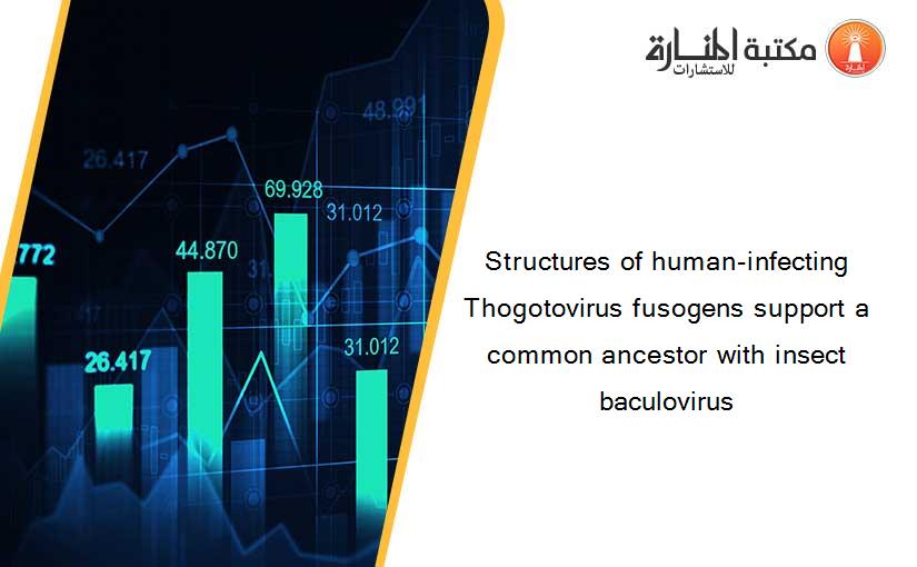 Structures of human-infecting Thogotovirus fusogens support a common ancestor with insect baculovirus