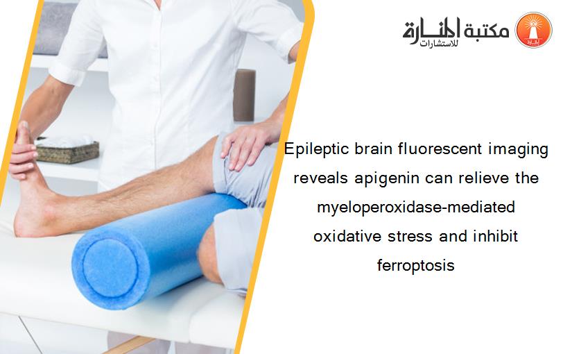Epileptic brain fluorescent imaging reveals apigenin can relieve the myeloperoxidase-mediated oxidative stress and inhibit ferroptosis