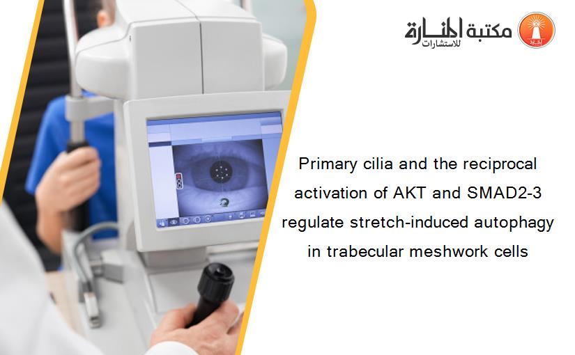 Primary cilia and the reciprocal activation of AKT and SMAD2-3 regulate stretch-induced autophagy in trabecular meshwork cells