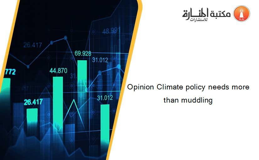 Opinion Climate policy needs more than muddling