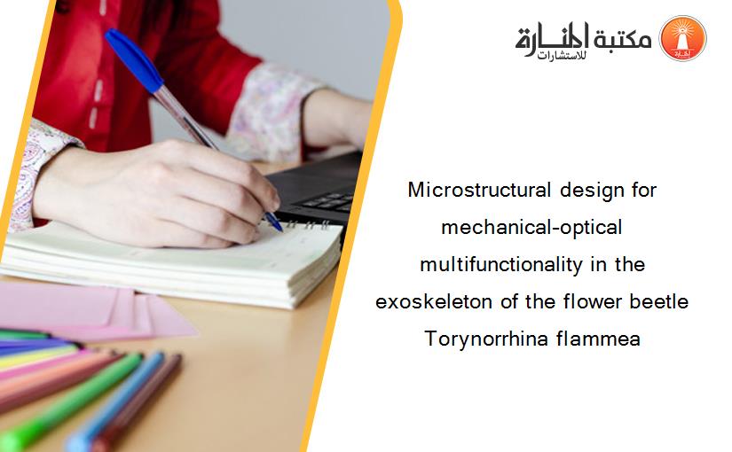 Microstructural design for mechanical–optical multifunctionality in the exoskeleton of the flower beetle Torynorrhina flammea