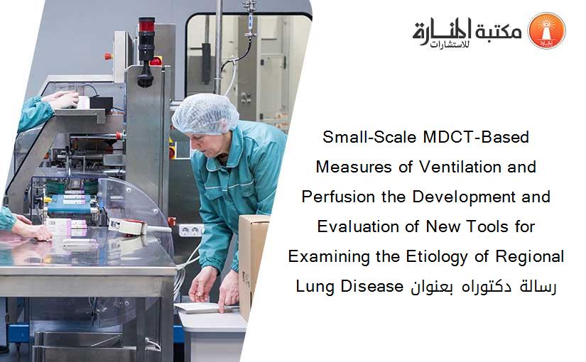 Small-Scale MDCT-Based Measures of Ventilation and Perfusion the Development and Evaluation of New Tools for Examining the Etiology of Regional Lung Disease رسالة دكتوراه بعنوان 